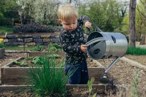 toddler using a watering can to care for the garden