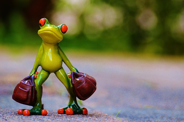 frog carrying 2 suitcases - time to go!