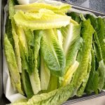 romaine lettuce washed and prepared for fridge storage